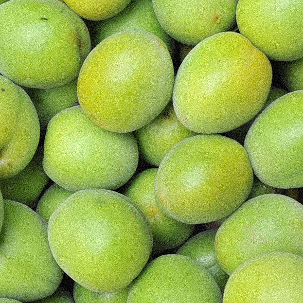 Kakadu Plum. Standard Self Care is committed to using only Non-Toxic, Vegan & Bioactive ingredients. Always Cruelty-Free, Paraben-Free, Non-GMO and made at the highest standards.